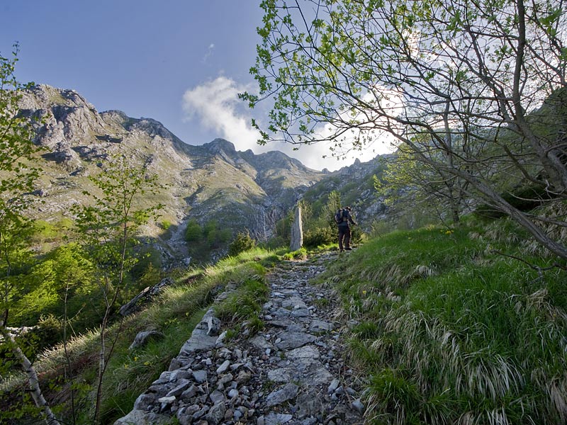 (MSMassa) RESCETOFINESTRA VANDELLI (1442m) RIFUGIO CONTIPASSO TAMBURA(1620m)MONTE TAMBURA