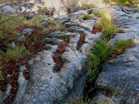 caratteristico campo solcato dalle acque