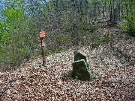 Il Termine