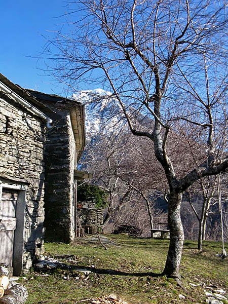 Le Caselle