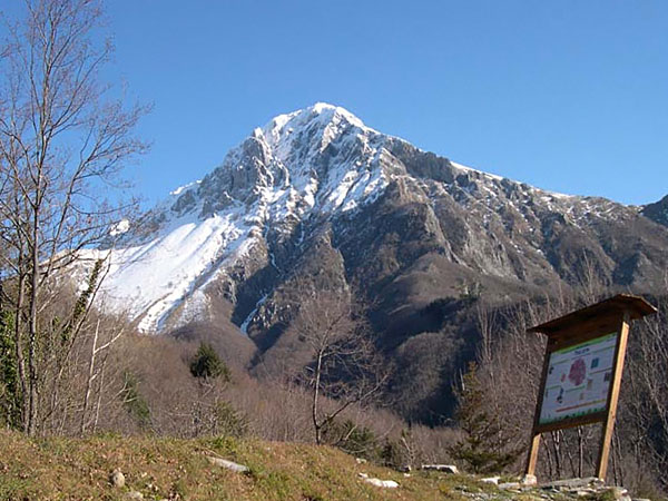 Vista Pania da Colle a Iapoli