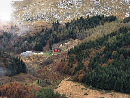 Mosceta