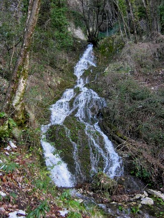 ruscello che esce dalla tana di Casteltendine