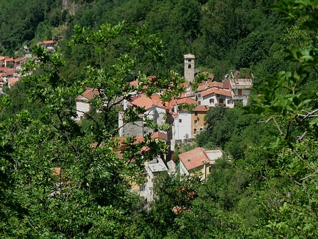 Casania