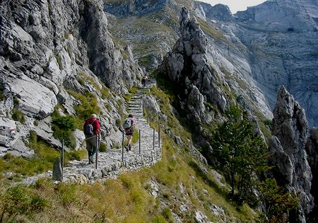 Le guglie dei Campaniletti