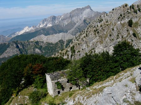 La Selvarella
