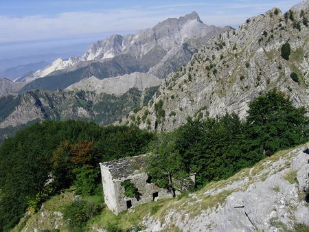 Bosco e casa della Selvarella, sullo sfondo il Sagro