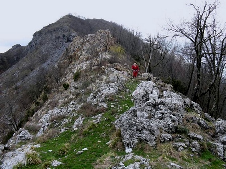 Colle dei Prunetti