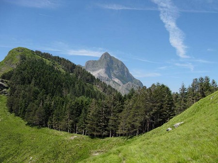 Foce Rasori