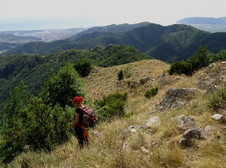 La zona della Pianaccia