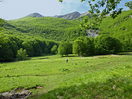 Il Padule di Fociomboli.