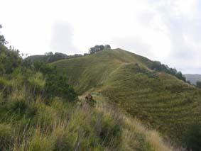 il monte Castagnolo nella buona stagione