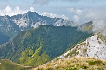 il bosco visto dalla vetta del monte Sumbra, sullo sfondo il monte Altissimo