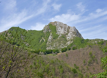 il monte visto da Col di Favilla, in primo piano la zona del Puntato