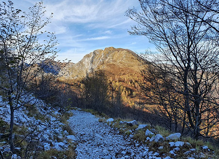 la cresta sud vista dalla marmifera che scende dal Retro-Corchia, poco prima di Fociomboli