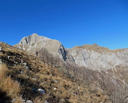 il profilo dell’Uomo Morto visto dalla Costa Pulita, a sx la Pania della Croce.