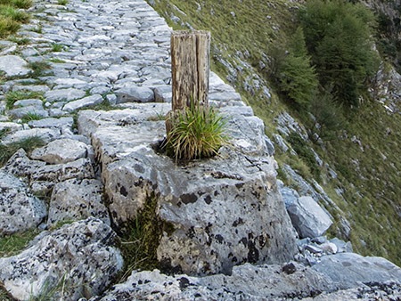 un piro di legno nel suo foro usato per la lizzatura, nella parte più bassa della via