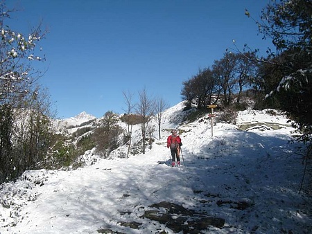 Focetta San Vincenzo