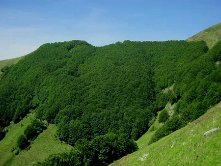 Bosco del Fatonero
