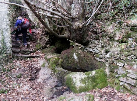  Vasca presso le Case di Monte Ornato