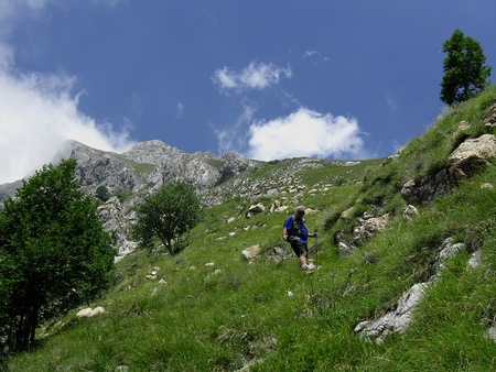 Scendendo sul 7, sullo sfondo la Pania