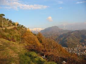 dalla collina di S. Lucia a Carrara: Brugiana con dietro la Tambura innevata.