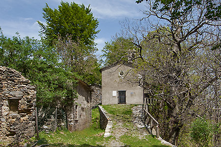 la chiesa ed il campanile tra le fronde