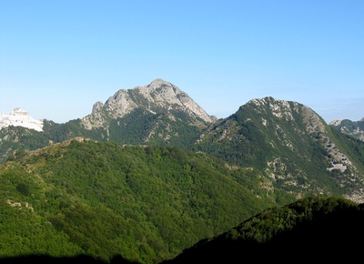 Da Passo Croce: Monte dei Ronchi a dx, sullo sfondo al centro il M.Altissimo 