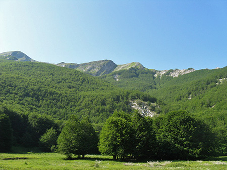 il Padule dominato dal monte Corchia, all’estrema sinistra la vetta del monte.