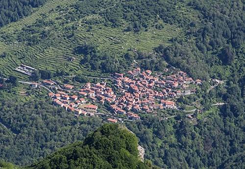 Vinca dalla vetta del M. Sagro (1749 m)